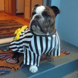 Meet your Posher, L janeese